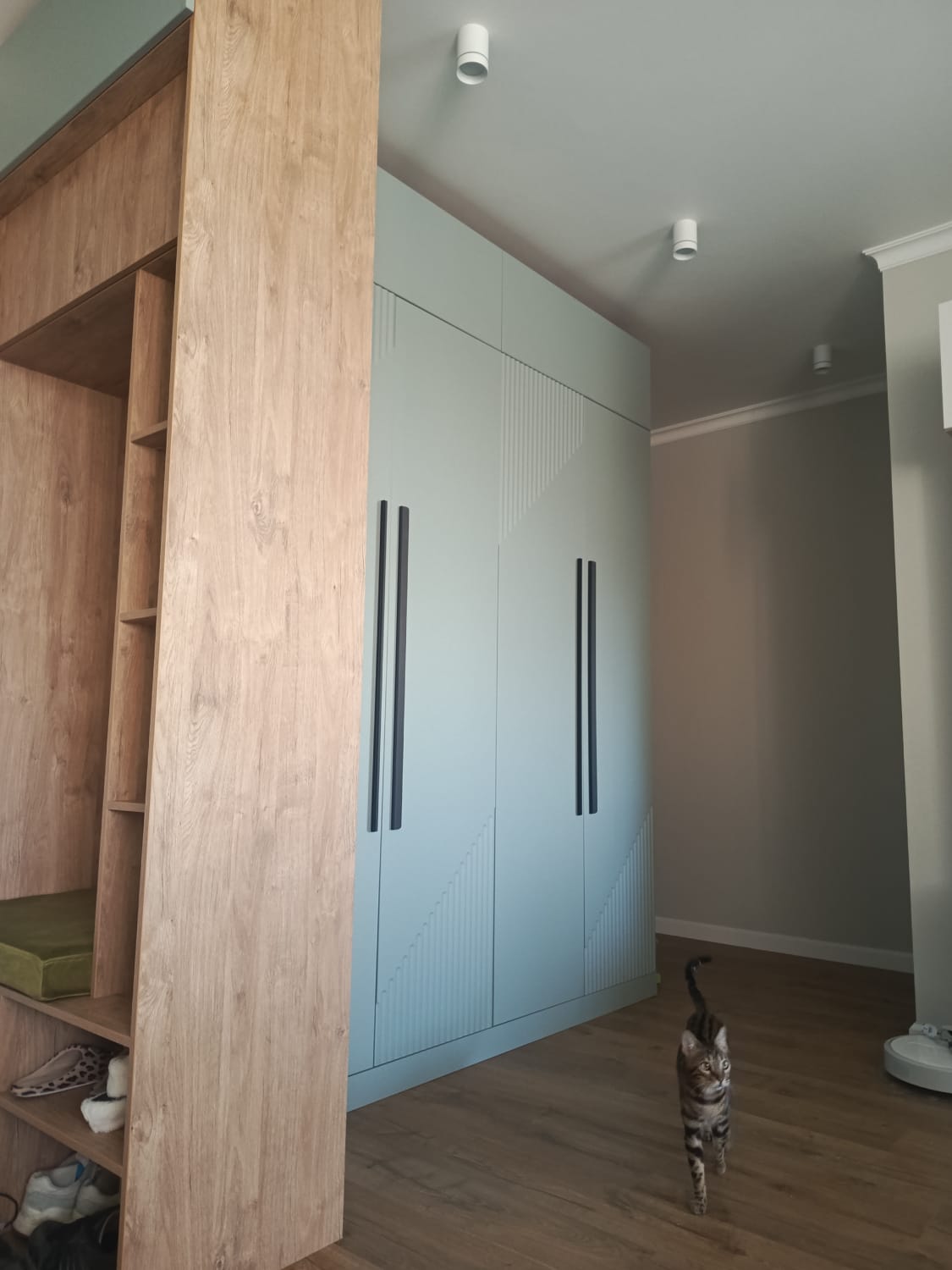 Шкаф над дверью в прихожей Санкт-Петербург